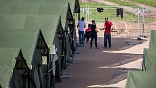 Tagesrekord: 160 illegale Migranten in Litauen an der belarussischen Grenze aufgegriffen