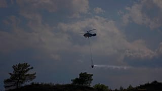 Cyprus Forest Fire