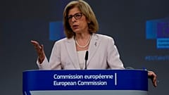 Η Επίτροπος Υγείας, Στέλλα Κυριακίδου