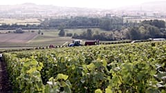 Nach dem Krimsekt der Champagner: Russland übernimmt