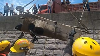 12 whales rescued in east China