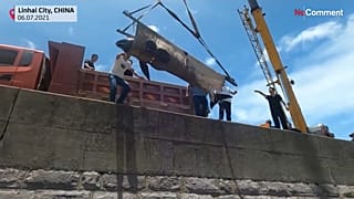 إنقاذ 12 حوتا عالقا على شاطئ في شرق الصين