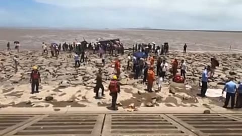 Çin'de karaya vuran balinaları kurtarmak için zamana karşı yarış | Video