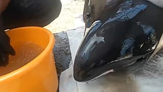 Rettung von Grindwalen in China