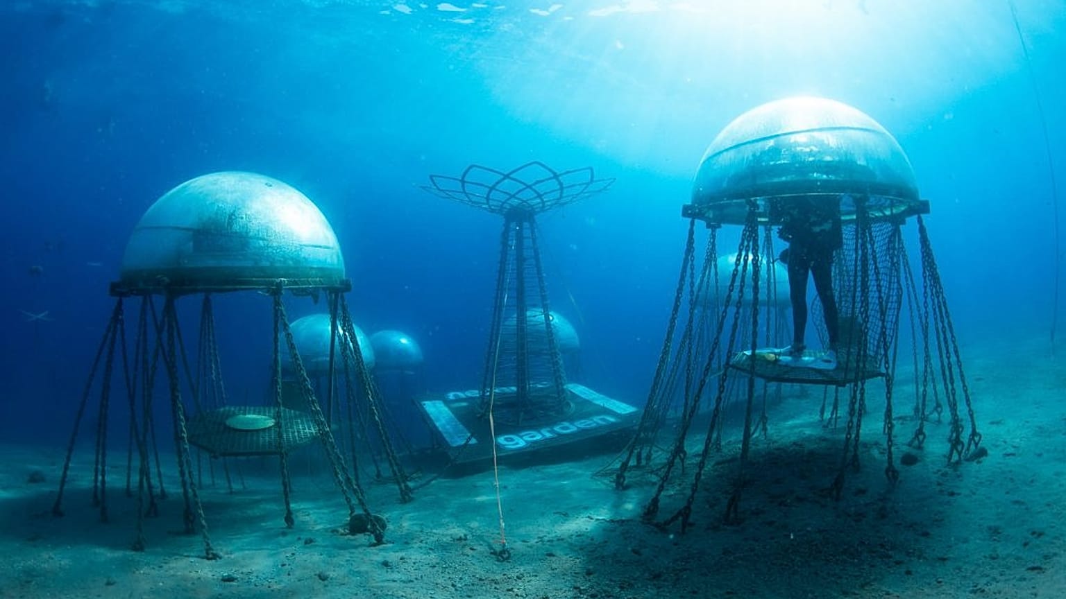 Su altı çiftliği Nemo's Garden
