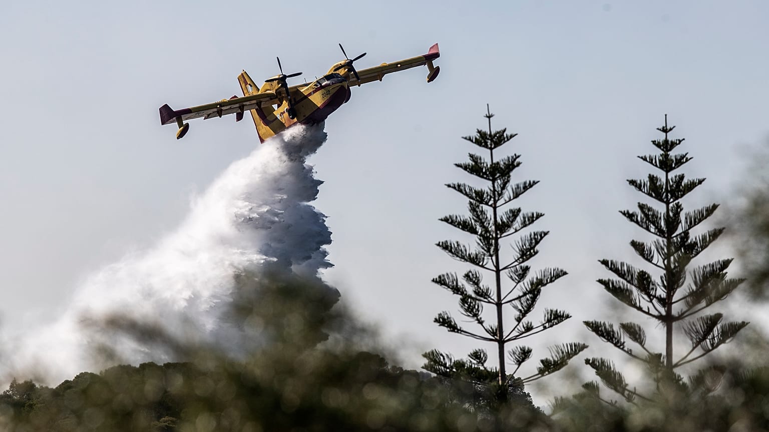 File photo : Greece - wildfire