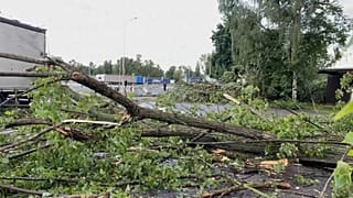 Meteorologists have issued a warning against extreme thunderstorms.