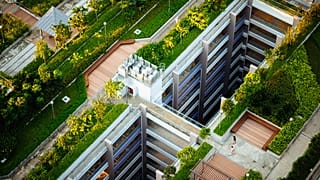 Basel is adding green space on the city's flat roofs.