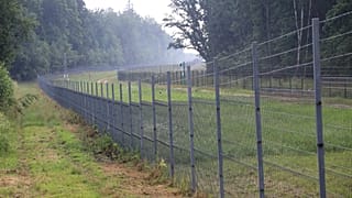 Litvanya'yı Belarus'tan ayıran tel duvar