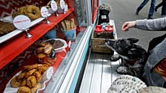 Bilim insanları köpek mamaları konusunda uyardı