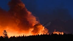 Лесные пожары в США.