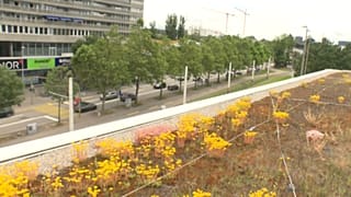 Giardini di città, a Basilea. 