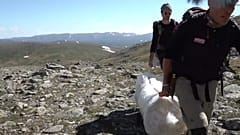 Ein ziemliches Geplacke: Die Plane muss auf den Berg
