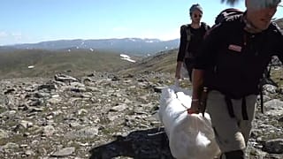 Takaró a gleccserre