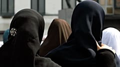 The issue of wearing the Islamic veil has inflamed political debate in Belgium.