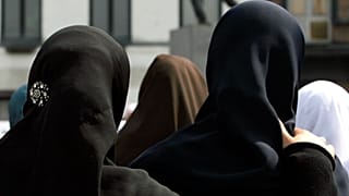 The issue of wearing the Islamic veil has inflamed political debate in Belgium.