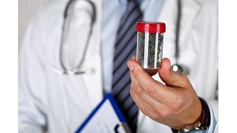 Male medicine doctor hand holding in hand medical marijuana
