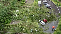 Fallen trees and broken branches have buried and heavily damaged cars near Zurich.