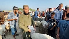 Habitantes da Faixa de Gaza reúnem-se par compra e venda de borregos