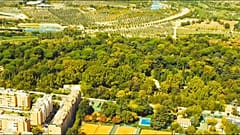 Grüne Wand um Madrid kühlt und schluckt CO2