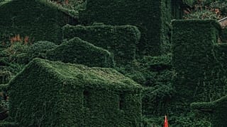 The abandoned village of Houtouwan is covered in greenery.