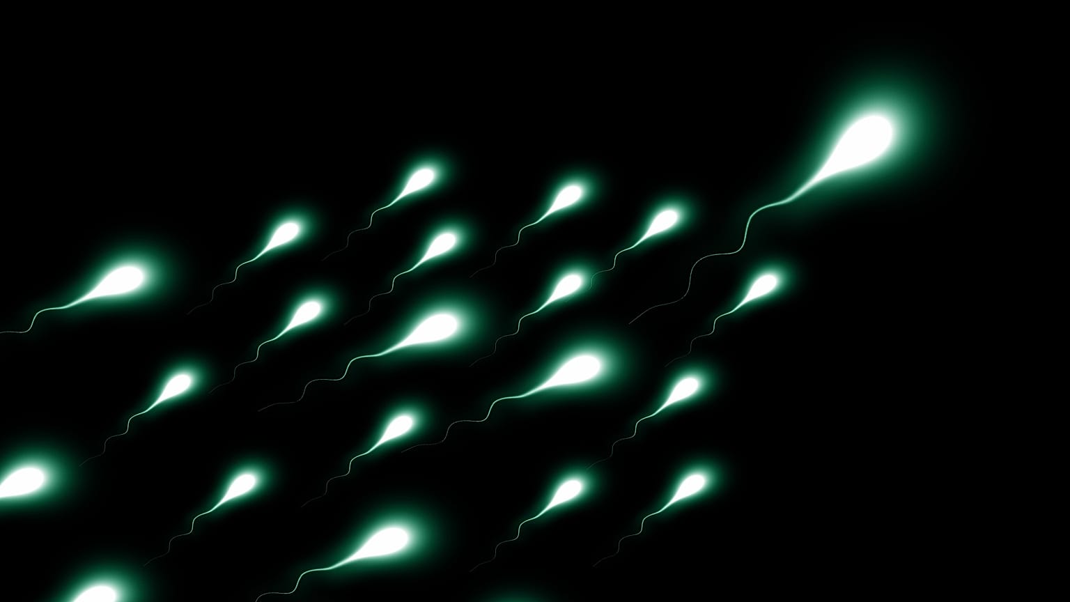 Birth control is not just women’s responsibility. Will men soon have more options?