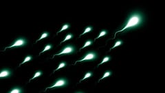 Birth control is not just women’s responsibility. Will men soon have more options?