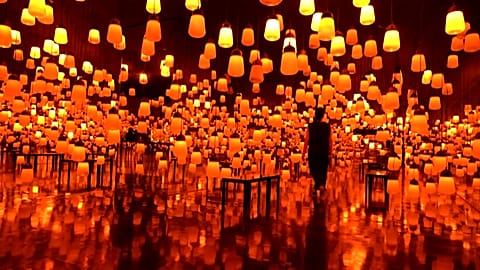 Art and nature come together in mesmerising exhibition