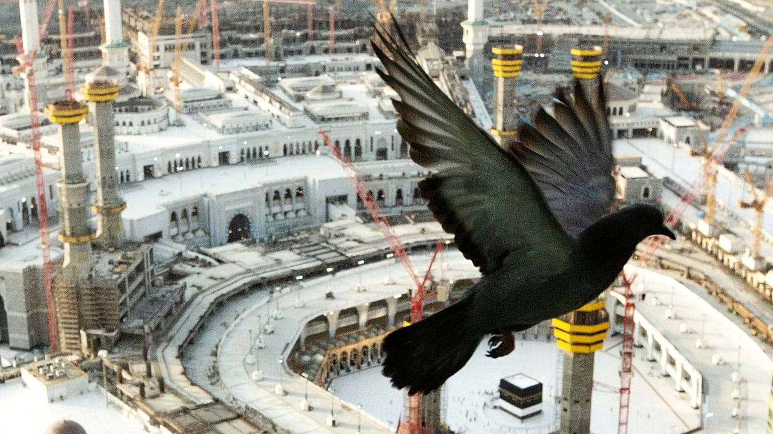 مراسم حج در عربستان