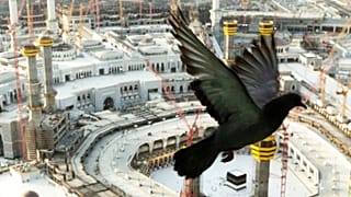 مراسم حج در عربستان