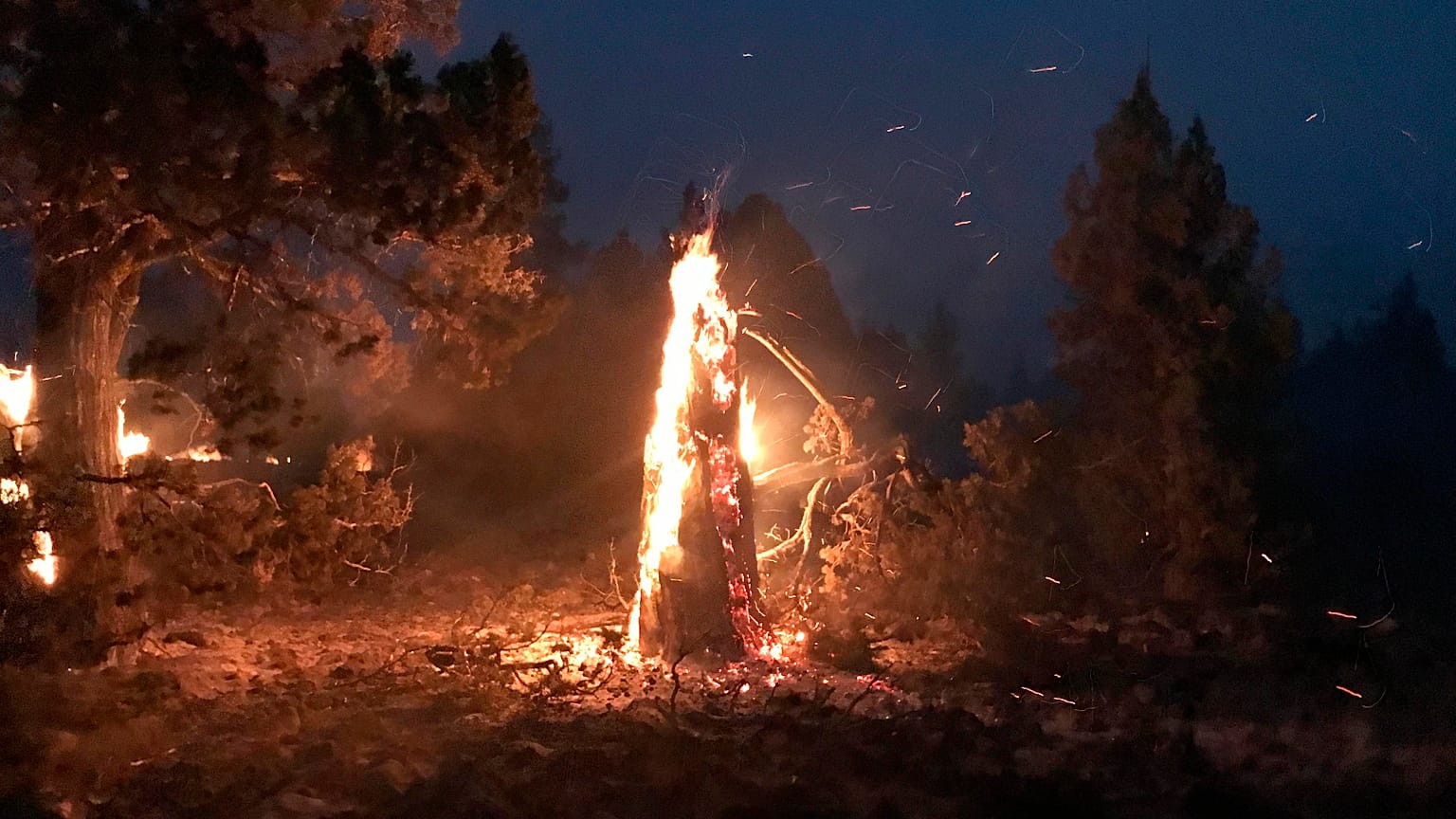 Stati Uniti: incendi in Oregon al confine con la California