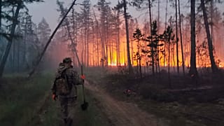 Les flammes ravagent les forêts en Sibérie