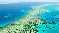 Naturschützer geschockt: Great Barrier Reef kein "bedrohtes" Welterbe