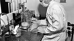 Covid-19 killt - die Tuberkulose-Forschung