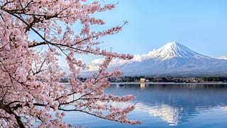 Tokyo is a city ripe with nature, but temperatures are rising as a result of climate change