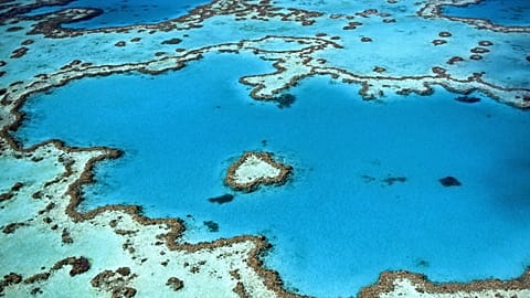 Heart Reef, Great Barrier Reef, Australia 