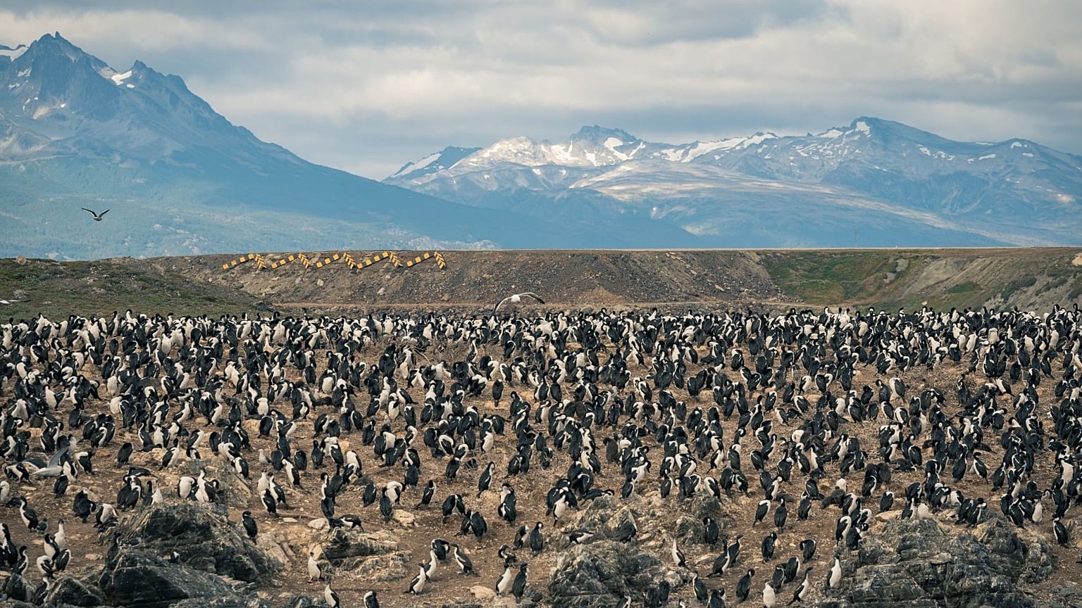 Patagonia, Argentina