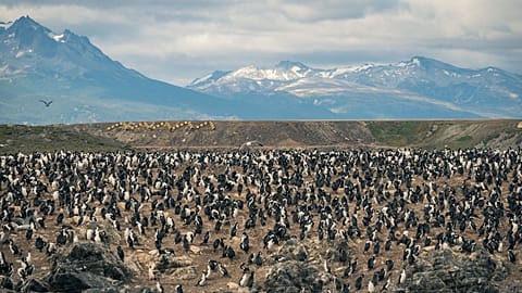Patagonia, Argentina