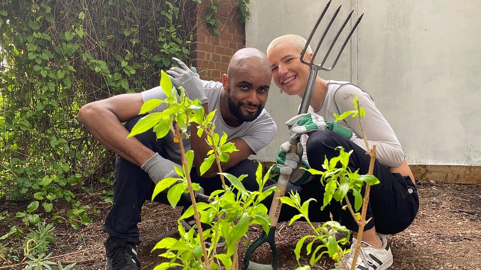 Guerrilla gardening is a peaceful form of environmental rebellion. 