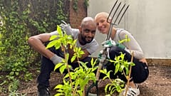 Guerrilla gardening is a peaceful form of environmental rebellion. 