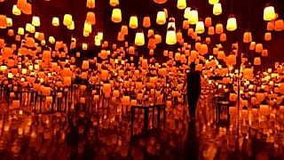 teamLab use light as paint and nature as their canvas