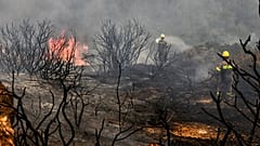 GREECE FIRES