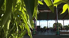 Polynesien: Hoffen auf Entschädigung für französische Atomtests