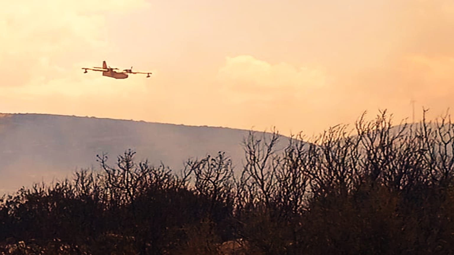 Πυρκαγιά στην Αργολίδα