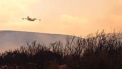 Πυρκαγιά στην Αργολίδα