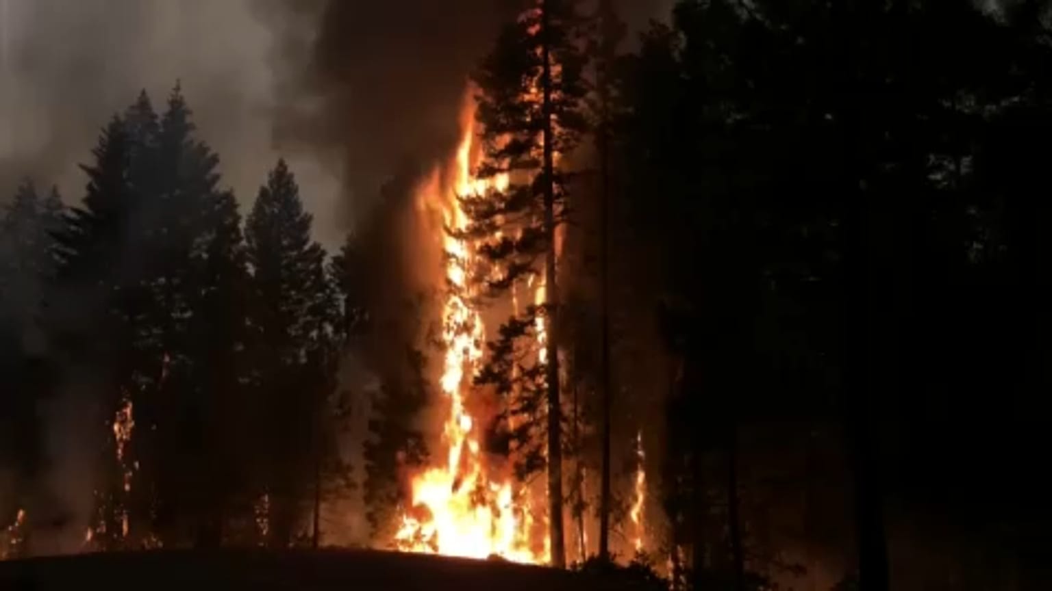 California's largest fire torches more homes