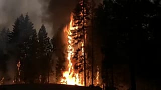 California's largest fire torches more homes