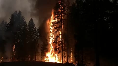 California's largest fire torches more homes