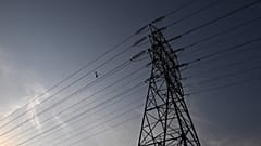 Über 1 Mio Menschen ohne Strom - wegen aus dem Auto geworfener Kippe?