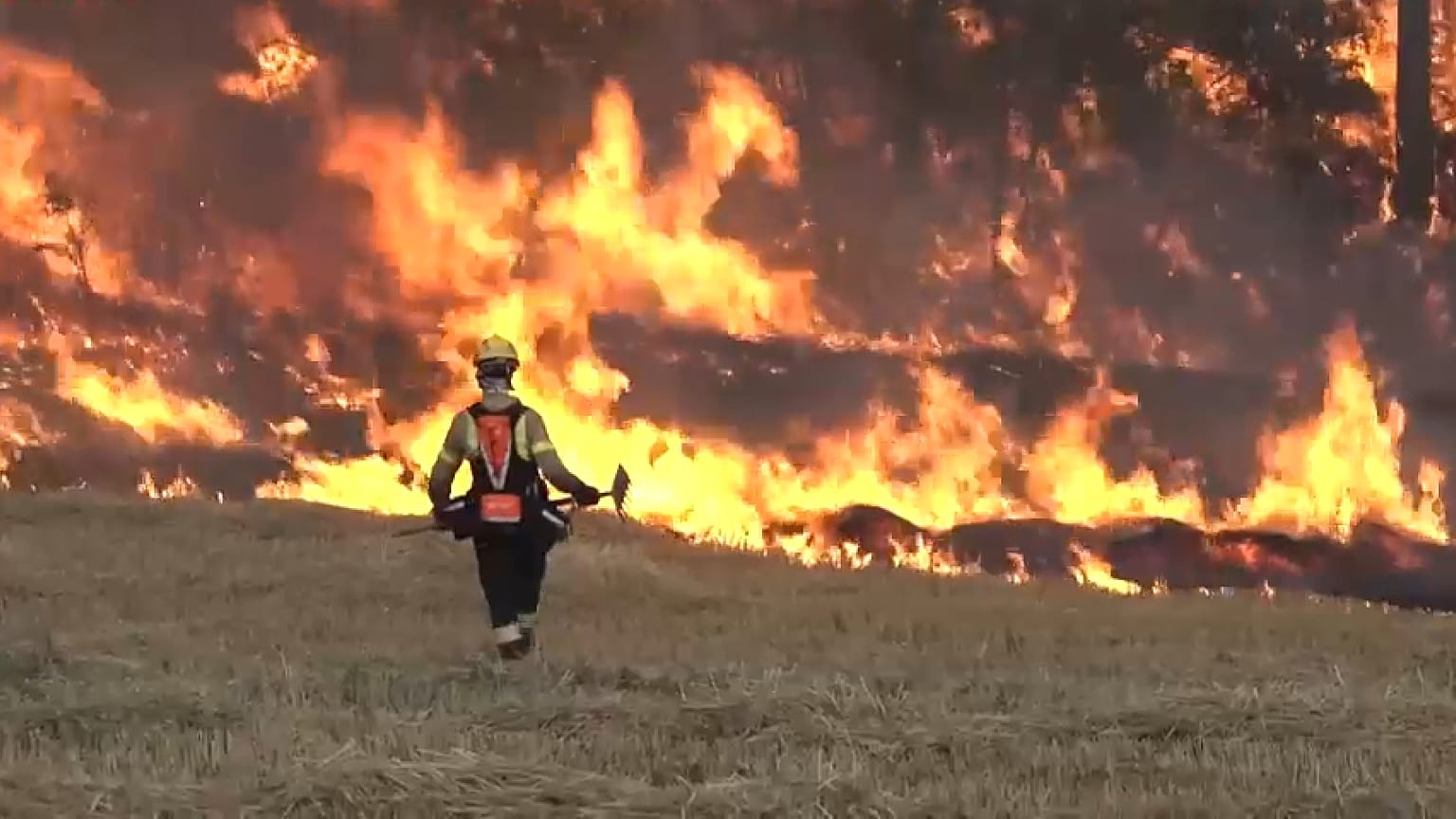 Un incendio forestal en Cataluña, España. 